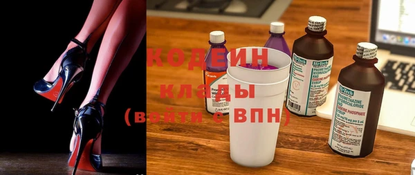 apvp Инсар