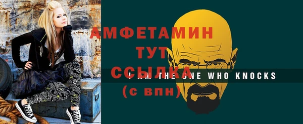 apvp Инсар