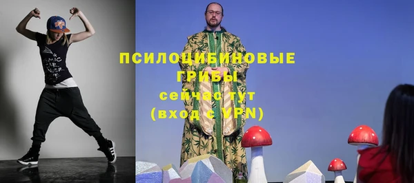 герыч Инта