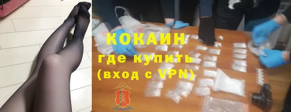 apvp Инсар