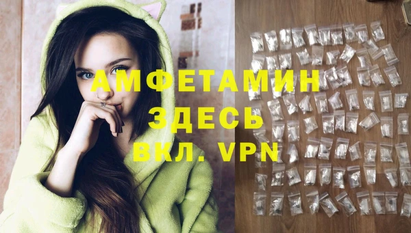 apvp Инсар