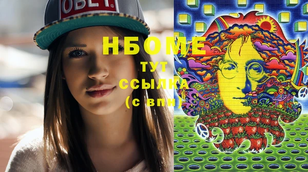 apvp Инсар