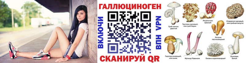 Псилоцибиновые грибы Psilocybine cubensis  Купить закладки  Полярный 